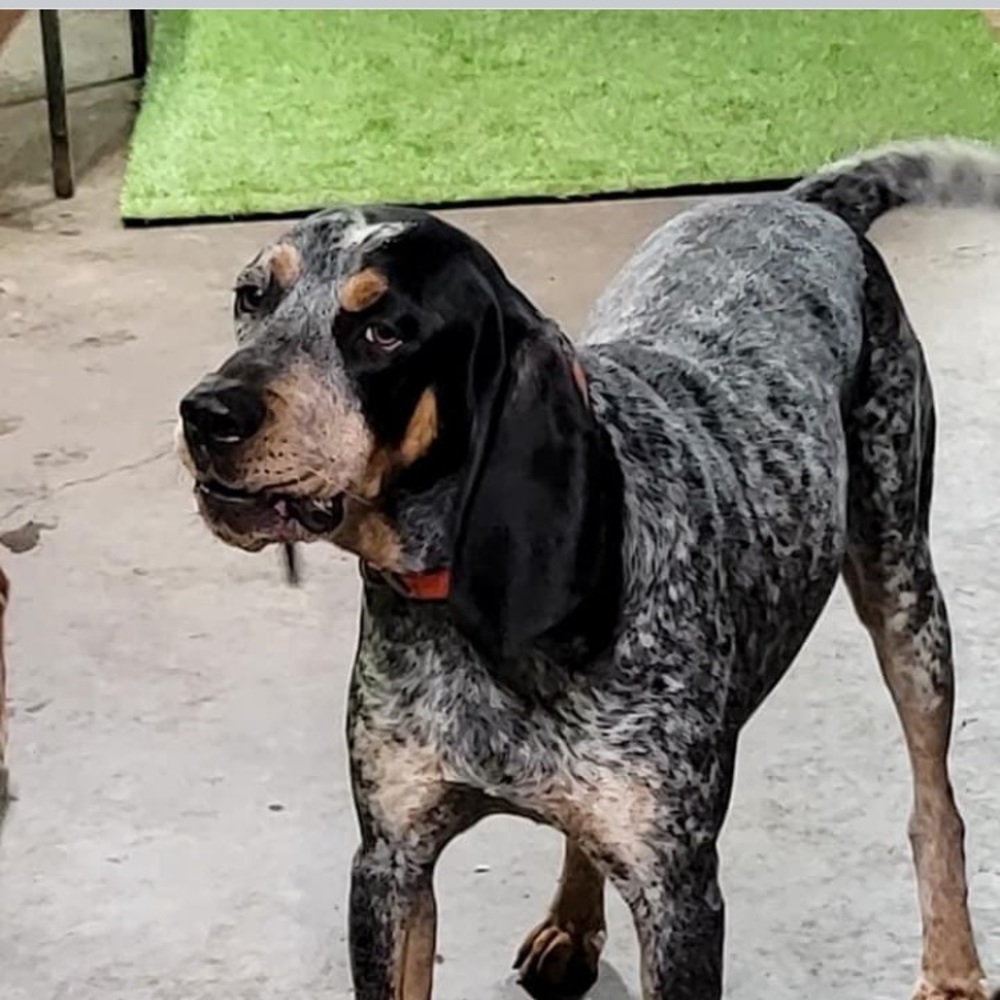 Meet your Posher, Bonnie